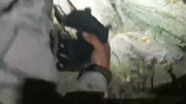 Günlerdir aç olan anne köpek ve yavrularını asker böyle kurtardı