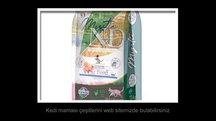 Kedi Maması Çeşitleri