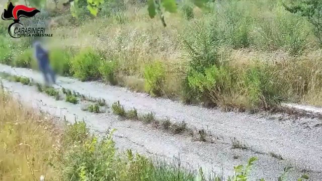 Incendi, piromane appicca il fuoco e fugge: incastrato dalle telecamere dei carabinieri
