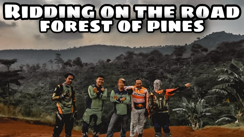 Trail adventure jelajah hutan Pinus Bandung barat