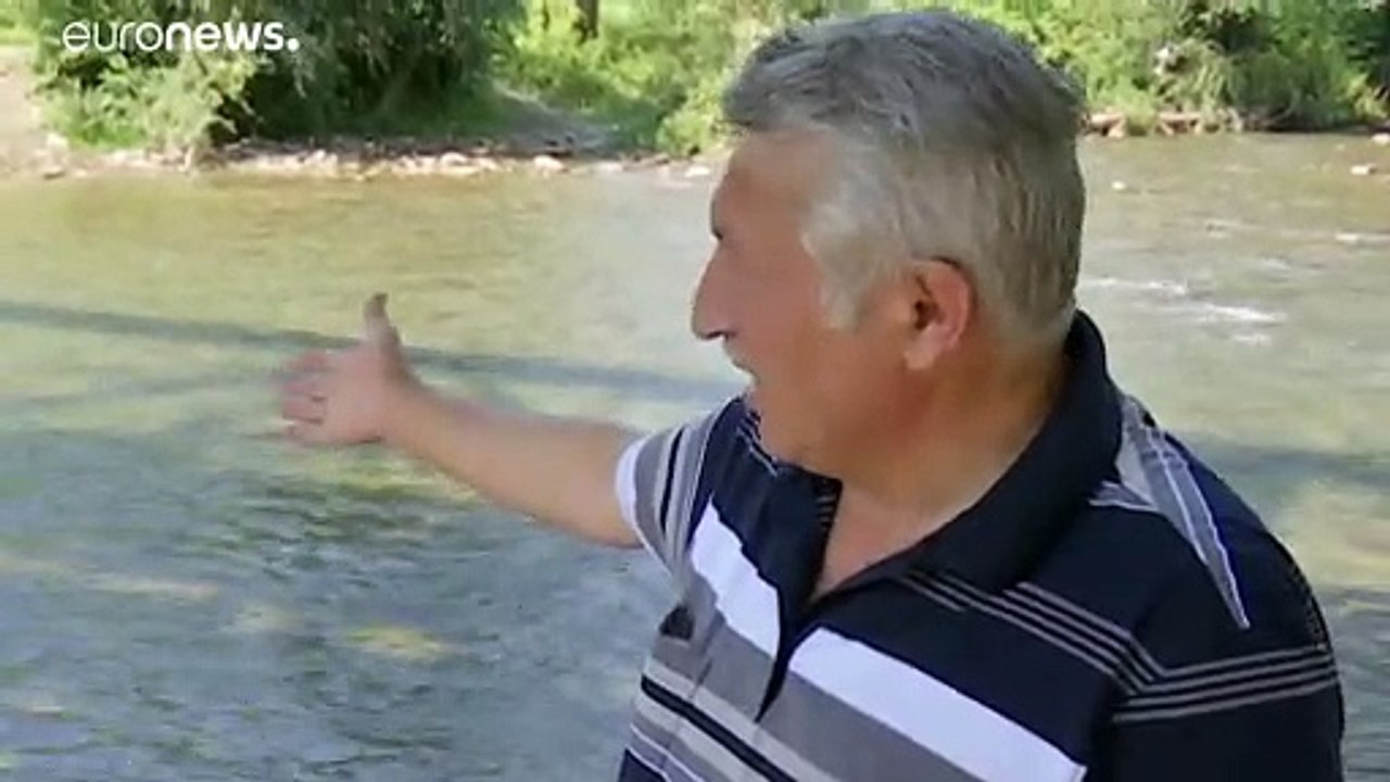 Ρουμανία: Νεκρά ψάρια σε ποτάμι - Σε συναγερμό οι αρχές