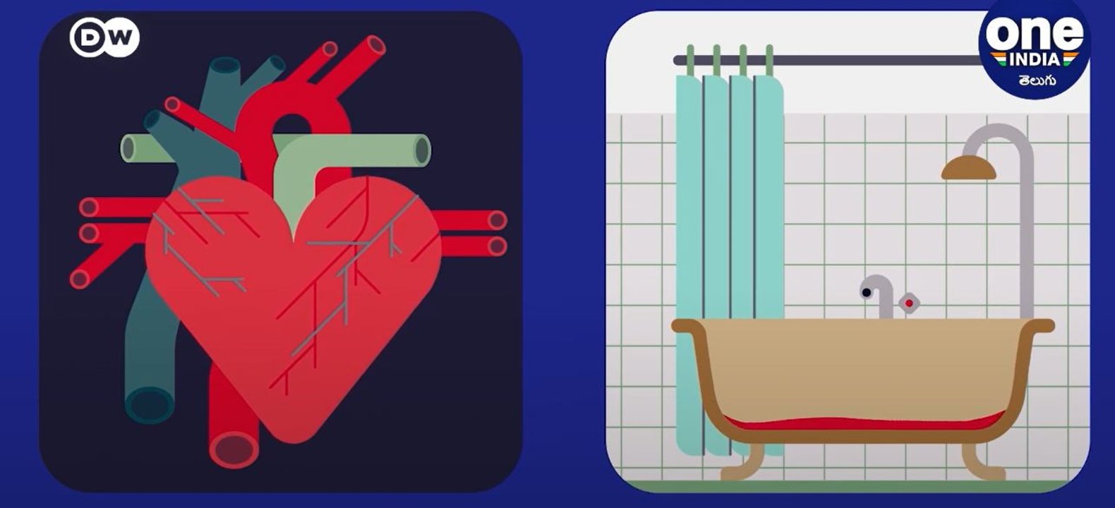Do You Know How Much Blood Our Heart Pumps Per...