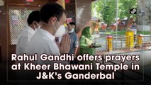 Rahul Gandhi offers prayers at Kheer Bhawani Temple in J&K’s Ganderbal