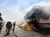 Manisa'da 150 ton saman yangında küle döndü