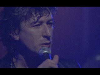 Alain Bashung - L' apiculteur
