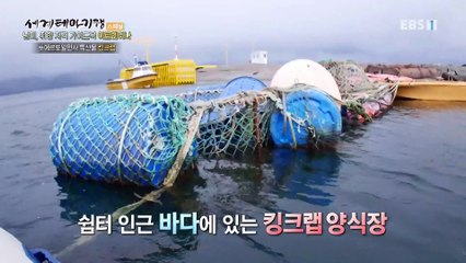 세계테마기행 - 남미, 취향 저격 가이드북- 바닷길 판타지아, 칠레_#003