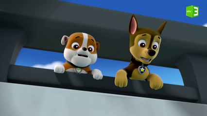 قطة في ورطة