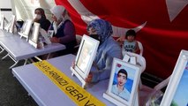 Evlat nöbetindeki aileler, çocuklarını PKK'dan almakta kararlı