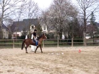 Litter First passage