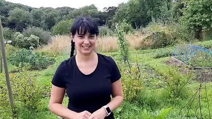 Coun Angela Argenzio on her love of allotments