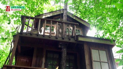 건축탐구- 집 - 나무가 자라는 집_#003