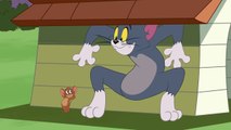 Tom i Jerry Show - Fala upałów - Boomerang