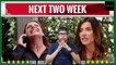 CBS The Bold and The Beautiful Spoilers Next TWO Week August 9 To August 20, 2021