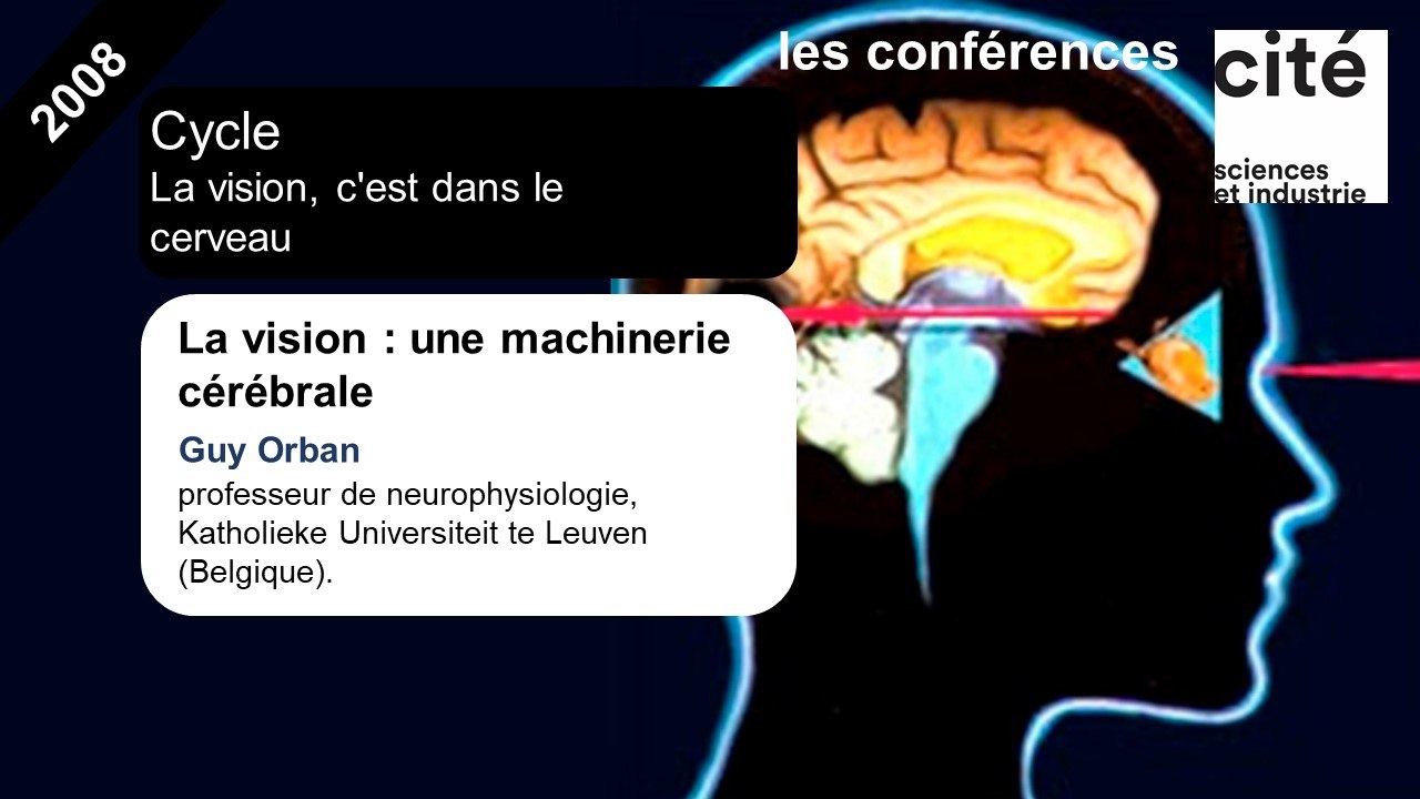 La vision : une machinerie cérébrale