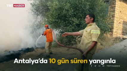 Alevlerle mücadeleyi anlatılar: Sesimiz kısıldı, ayakkabılarımız bile yandı