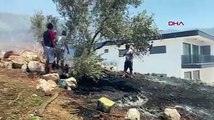 Antalya Kaş'ta çıkan yangında, 3 hektar zeytinlik yandı