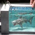 make diy zombie shark in a swimming pool diorama  Polymer Clay  Epoxy  Deep Sea Fish and Shark