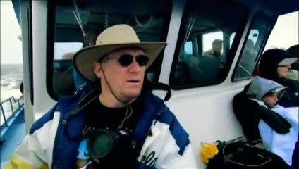 Observação de Baleias de Monterey (Dublado)