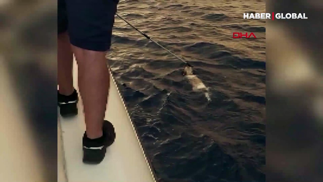 Yangından kaçıp denize sığındı! Sahil güvenlik ekipleri kurtardı