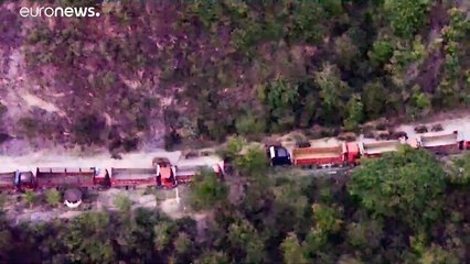 شاهد: بعد رحلة استمرت عاما ونصف... قطيع الفيلة "الشاردة" يعود إلى المحمية الطبيعية في الهند