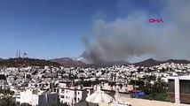 Bodrum'da makilik ve otluk alanda yangın