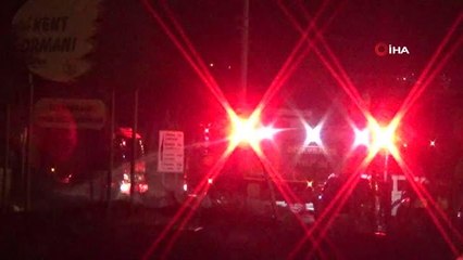 Orman yakma girişiminde bulunan 4 çocuğun evinde, silah ve mühimmatı bulundu