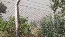 Bodrum'da makilik ve otluk alanda yangın çıktı (2)