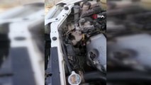 Otomobilin motor kısmına sıkışan kediyi itfaiye kurtardı