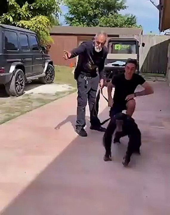 Limbani, Zoological Wildlife Foundation