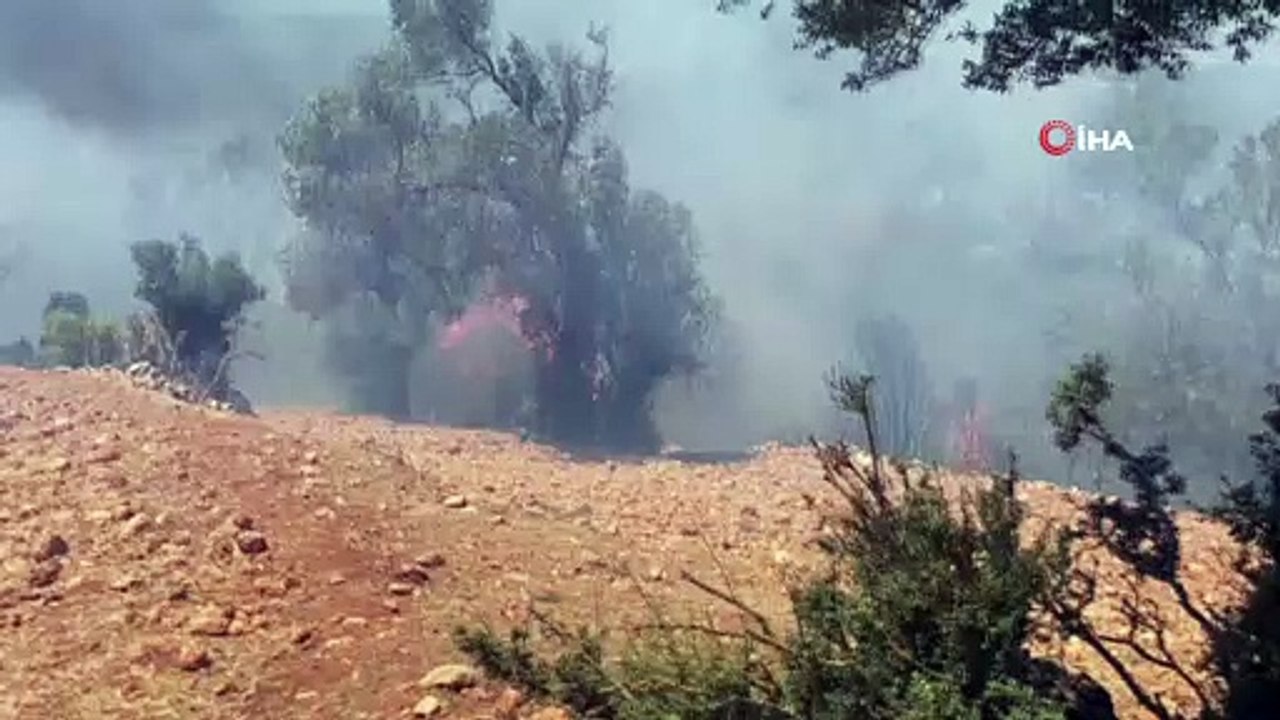Seydikemer’de otluk alanda başlayan yangın ormana sıçradı