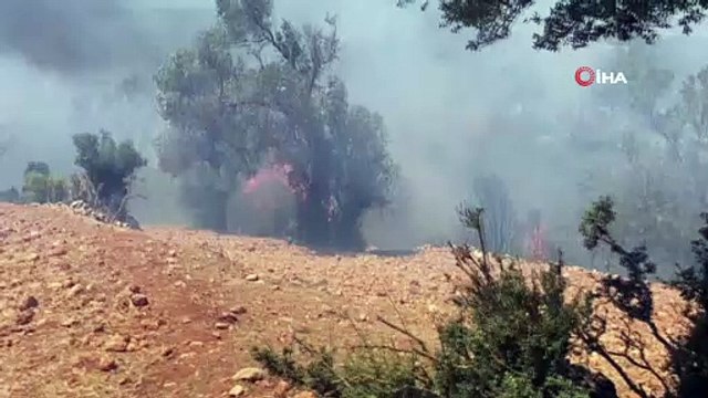 Seydikemer’de otluk alanda başlayan yangın ormana sıçradı