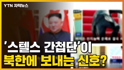 [자막뉴스] '스텔스 간첩단', 스스로 공개...북한에 보내는 신호? / YTN