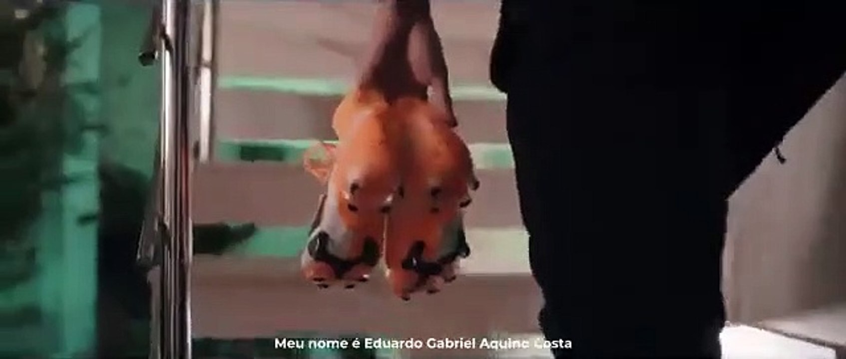 Pepê