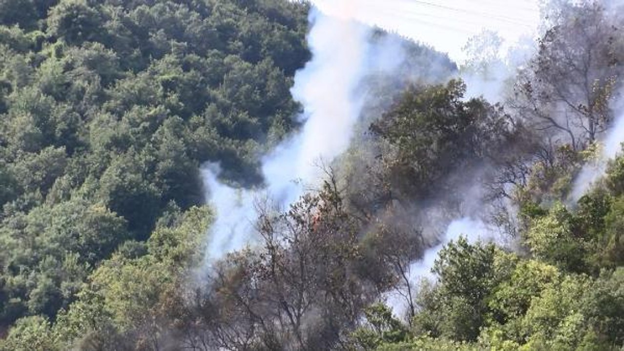 Son dakika haberleri: SARIYER'DE ORMAN YANGINI HAVADAN GÖRÜNTÜLENDİ (havadan ve alevli ek görüntüler)