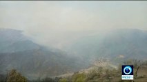 5 Dead as wildfires rage across Algeria