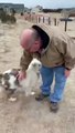 Cão cego e surdo reconhece dono após um ano afastados devido à pandemia