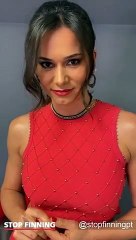 Caras conhecidas apoiam fim do comércio de barbatanas de tubarão