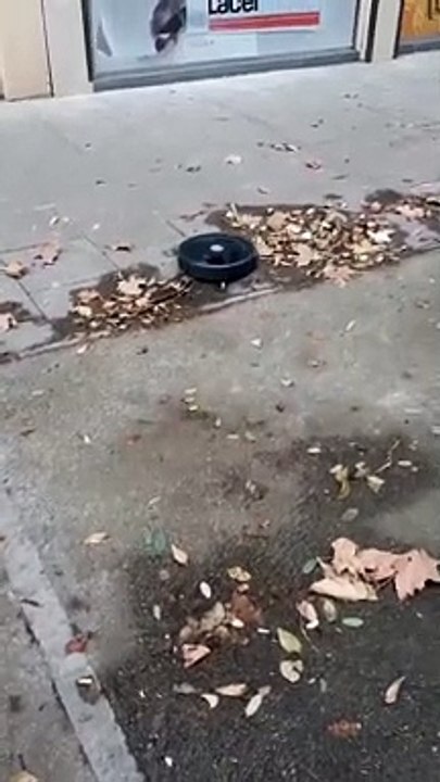 Roomba, Barcelona