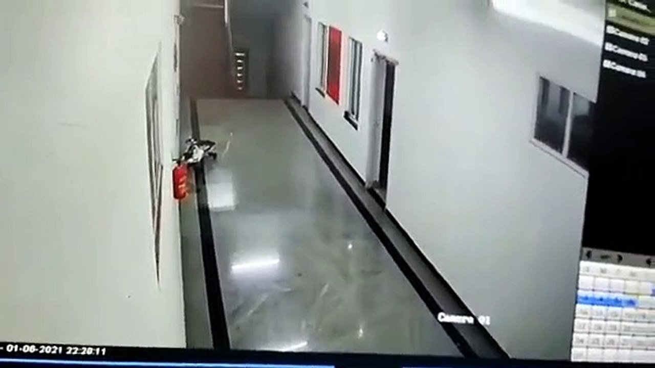 Leopardo invade universidade na Índia