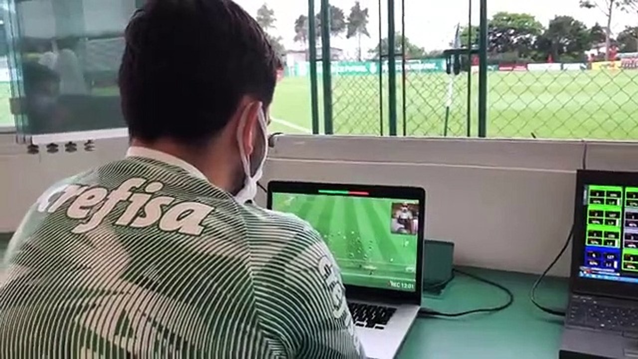 Palmeiras