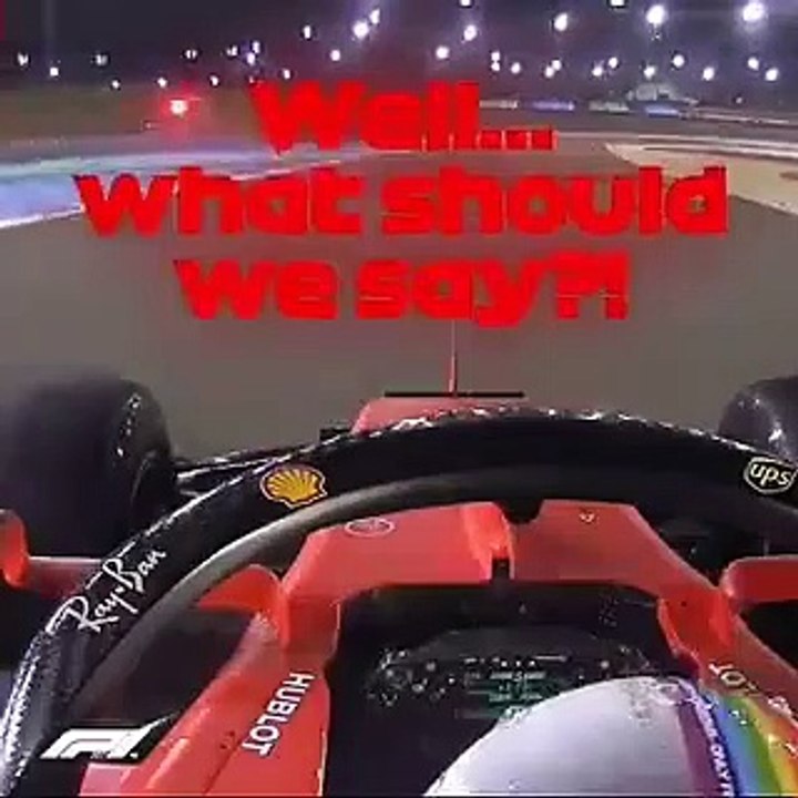 vettel dog