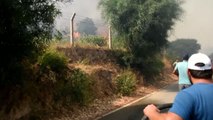 Son dakika haber! Bodrum'da makilik ve otluk alanda yangın çıktı (3)
