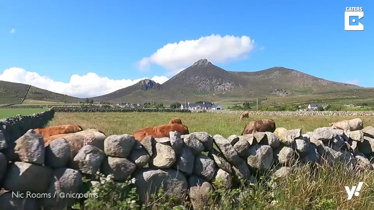 Youtuberin kündigt Wohnung und reist mit ihrem Van durch Europa