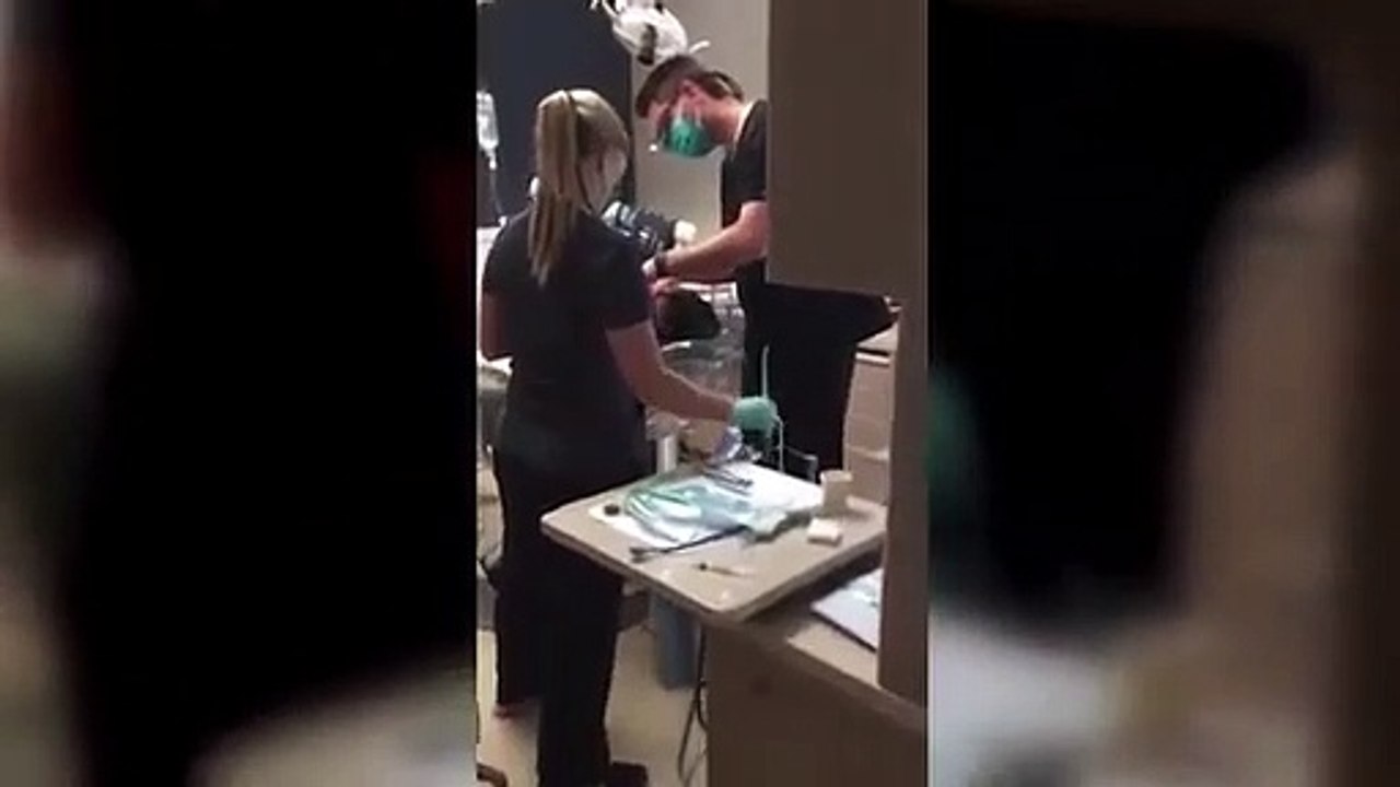 dentista