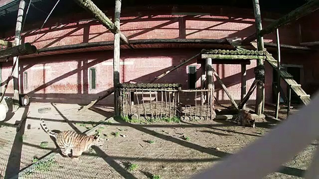Zoo Moscovo