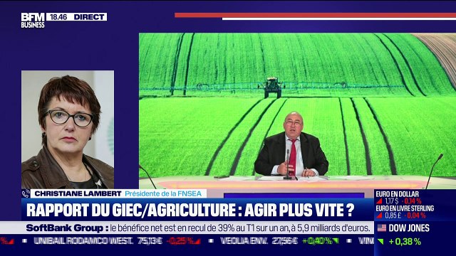 Christiane Lambert (FNSEA) : Rapport du GIEC/Agriculture, agir plus vite ? - 10/08