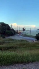 Pássaro voa contra cabo elétrico e provoca incêndio perto de autoestrada no Canadá