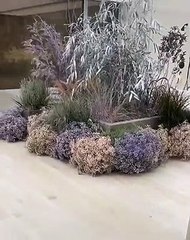 Kanye West transforma casa de banho de Kim Kardashian numa "floresta"