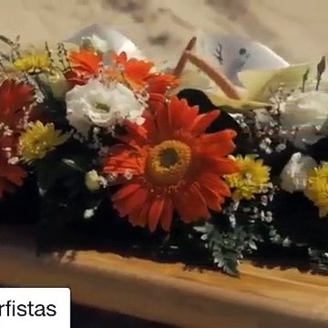 Pedro Lima, homenagem surfistas