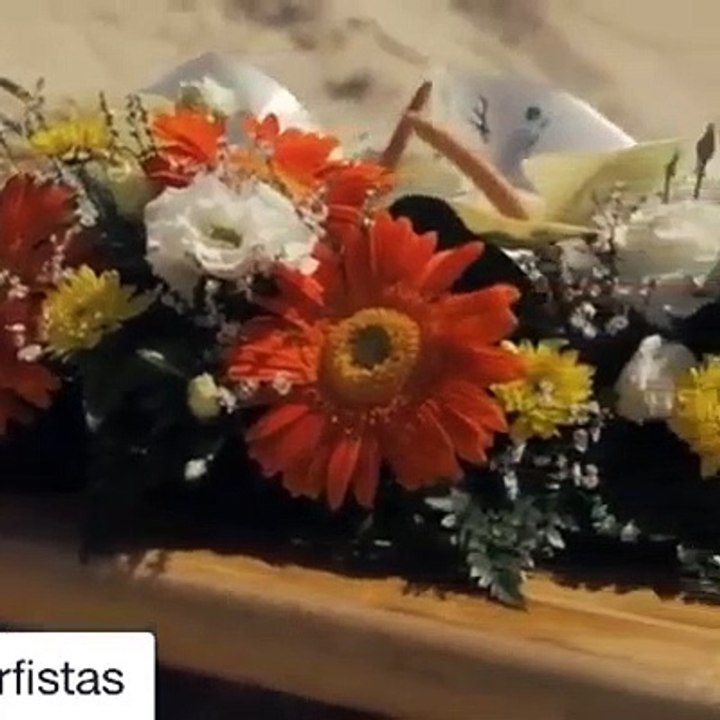 Pedro Lima, homenagem surfistas